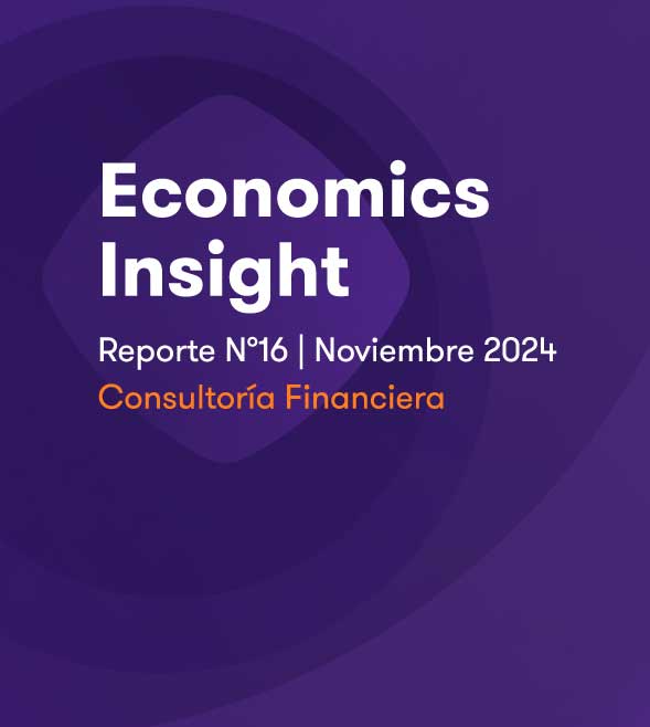 Economics Insight N°16